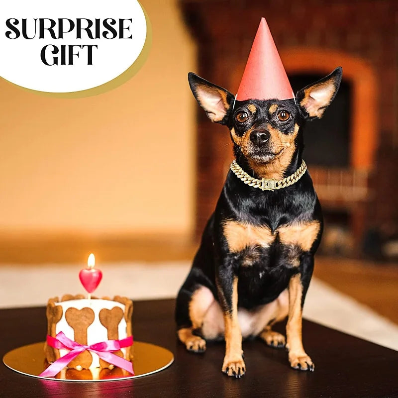 Dog Chain Collar Luxury Gold Pet Metal Chain Collar For Small Medium Large Dogs Cats Pet Jewelry Necklace Accessorie