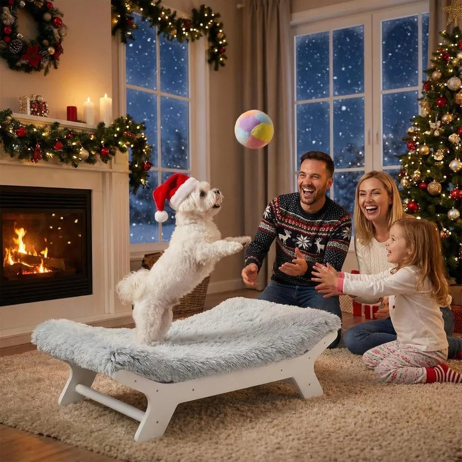 Elevated Dog Bed with Wooden Frame and Washable Cover for Small to Medium Dogs Up to 40 lbs Ideal for Outdoor Patio Indoor Use