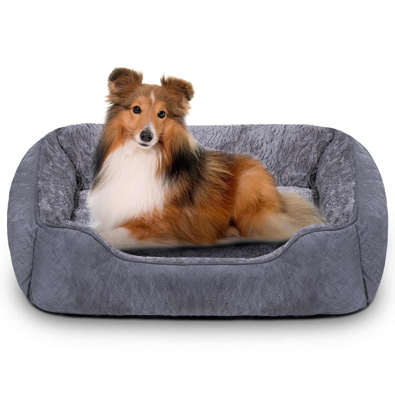 Dog Bedding