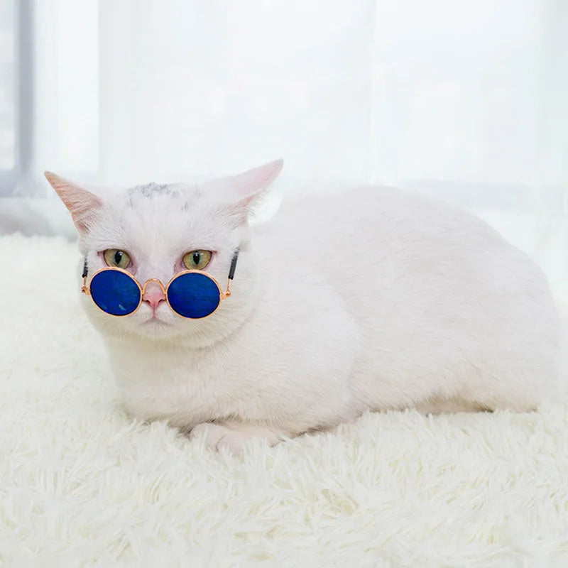 Cat Sunglasses Summer Outdoor Puppy UV Protection Sunglasses Dolls Sun Glasses Small Dog Cosplay Photo Props Cute Pet Sunglasses