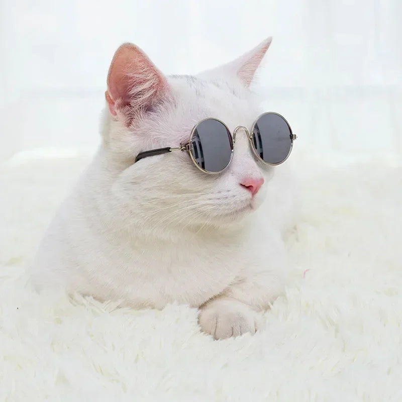 Cat Sunglasses Summer Outdoor Puppy UV Protection Sunglasses Dolls Sun Glasses Small Dog Cosplay Photo Props Cute Pet Sunglasses
