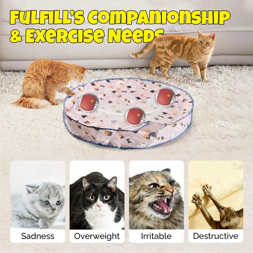 Interactive Cat Toys Ball Fast Rolling in Pouch Hide and Seek Kitten Toy Motion Activated Interactive Cat Toy for Indoor